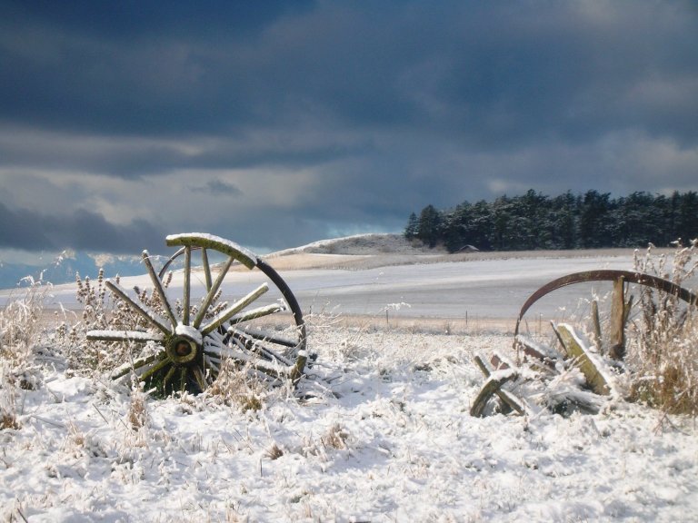 Wagon wheels in January snow
