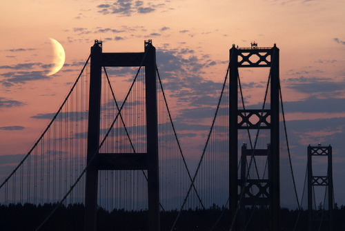 tumblr_mhxq3smgHt1r65qglo1_500