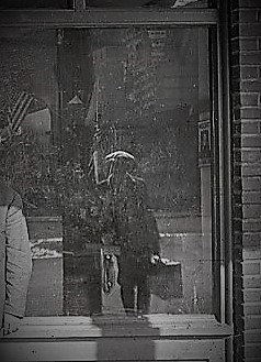 Reflection with case.en.crop